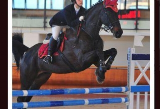  Obstáculos de salto en Ferrara